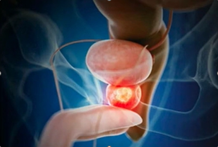 Zapraszamy do zapoznania się z wypowiedzią